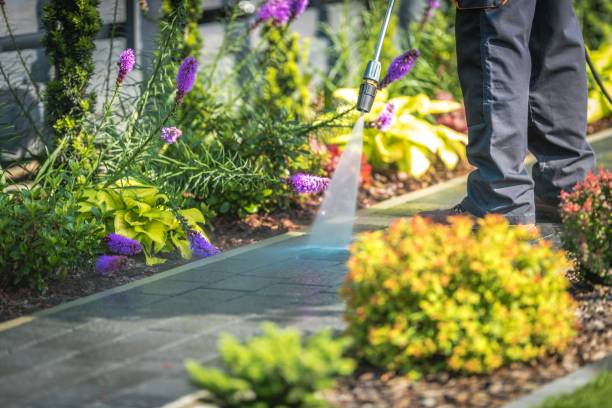 Best Pre-Holiday Cleaning  in Lake Hopatcong, NJ